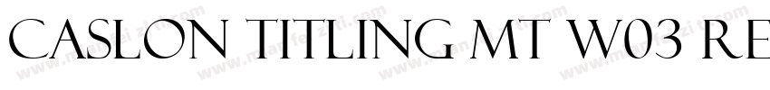 Caslon Titling MT W03 Regular字体转换